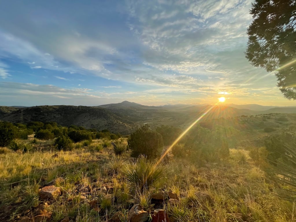 Davis Mountains State Park