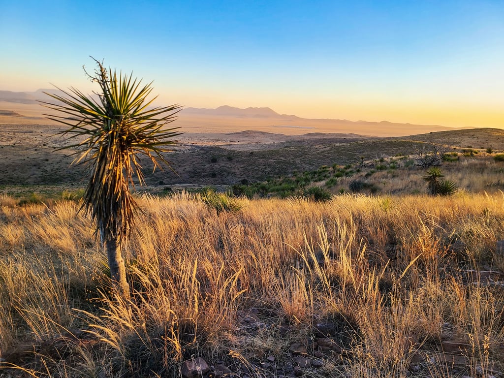 Davis Mountains State Park