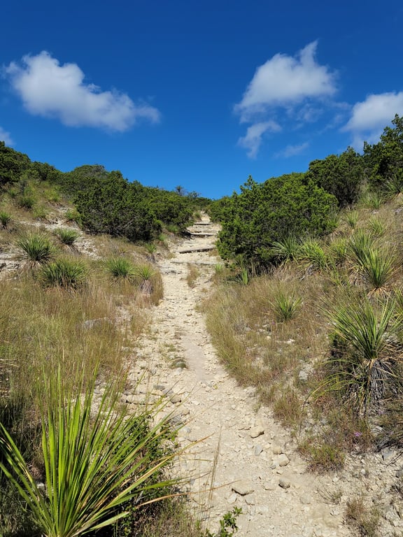 Hill Country State Natural Area