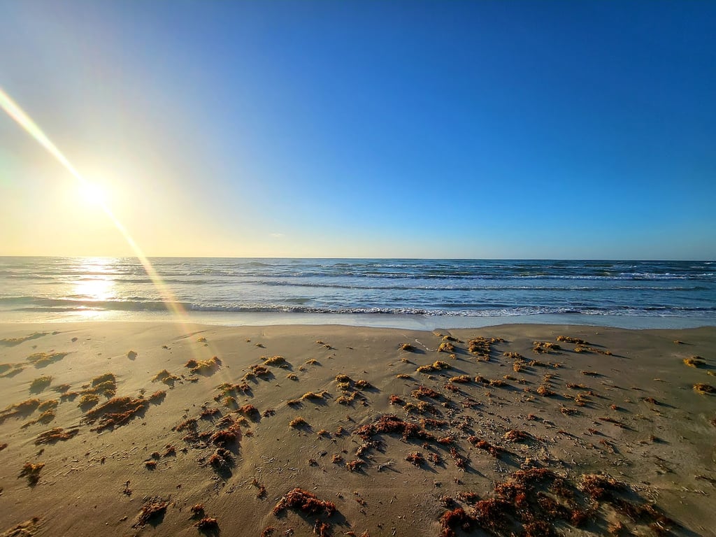 Padre Island National Seashore