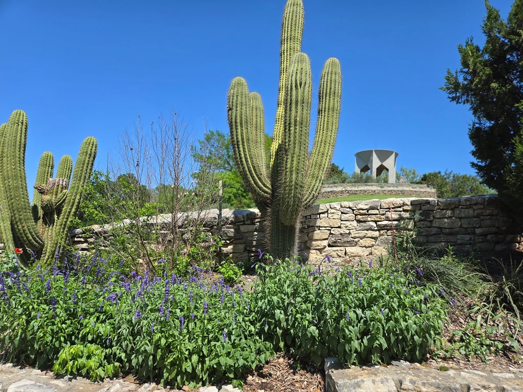 San Antonio Botanical Garden