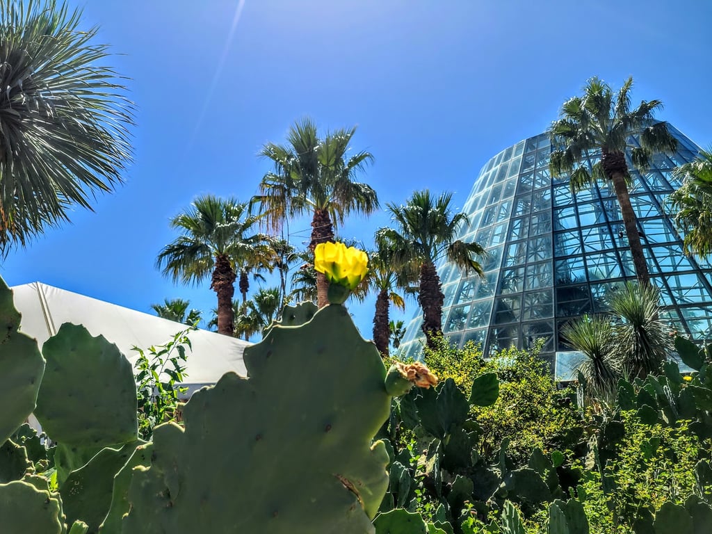 San Antonio Botanical Garden