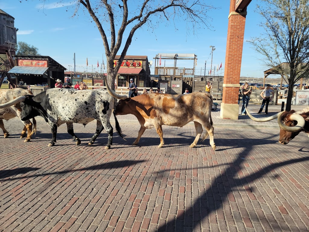 Stockyards National Historic District