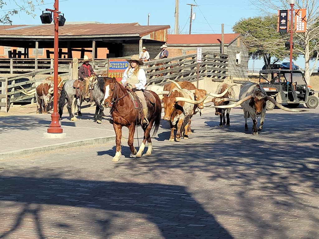 Stockyards National Historic District