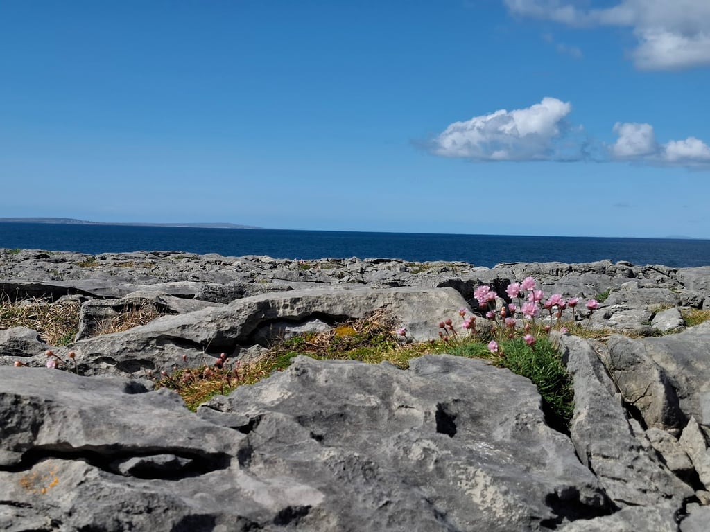 The Burren Karst