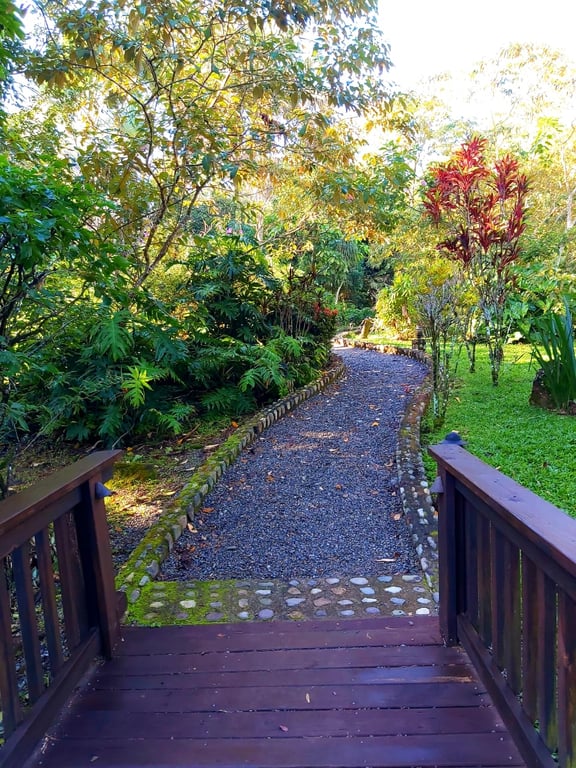 The Lodge at Pico Bonito