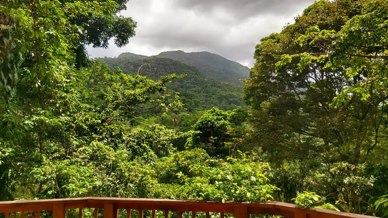 The Lodge at Pico Bonito