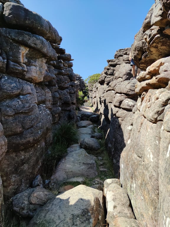 The Pinnacle Lookout
