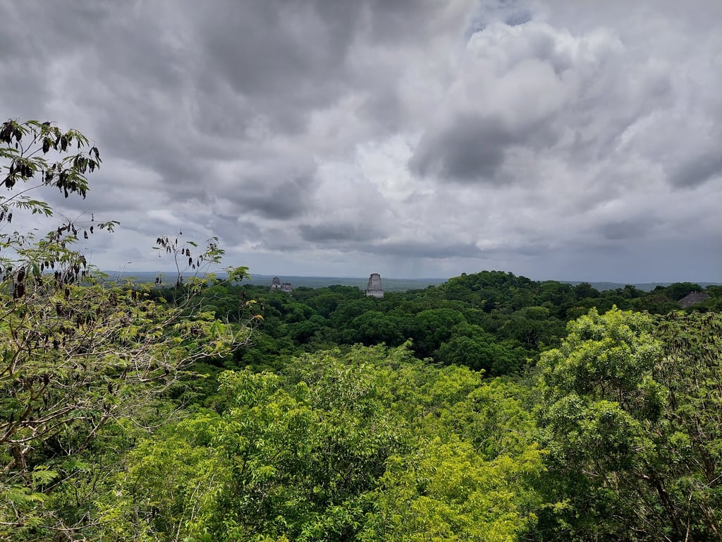 Tikal National Park