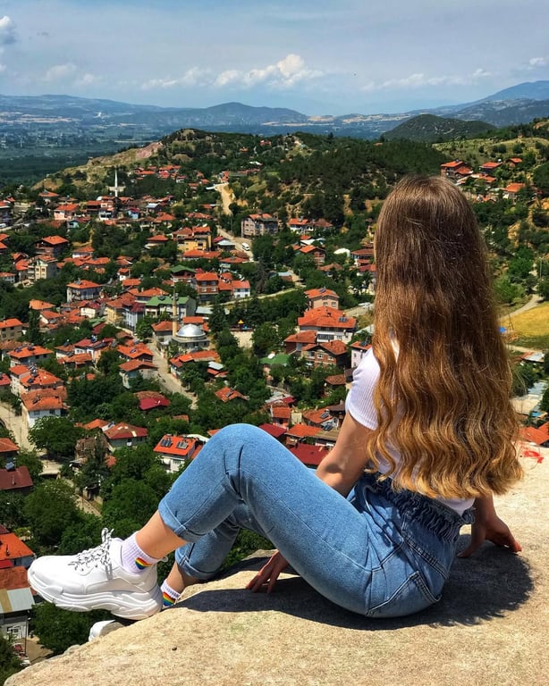 Niksar Kalesi