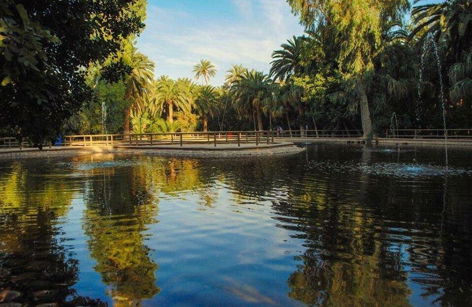 Tolga Palm Groves