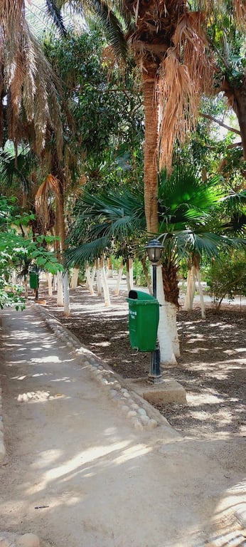 Tolga Palm Groves
