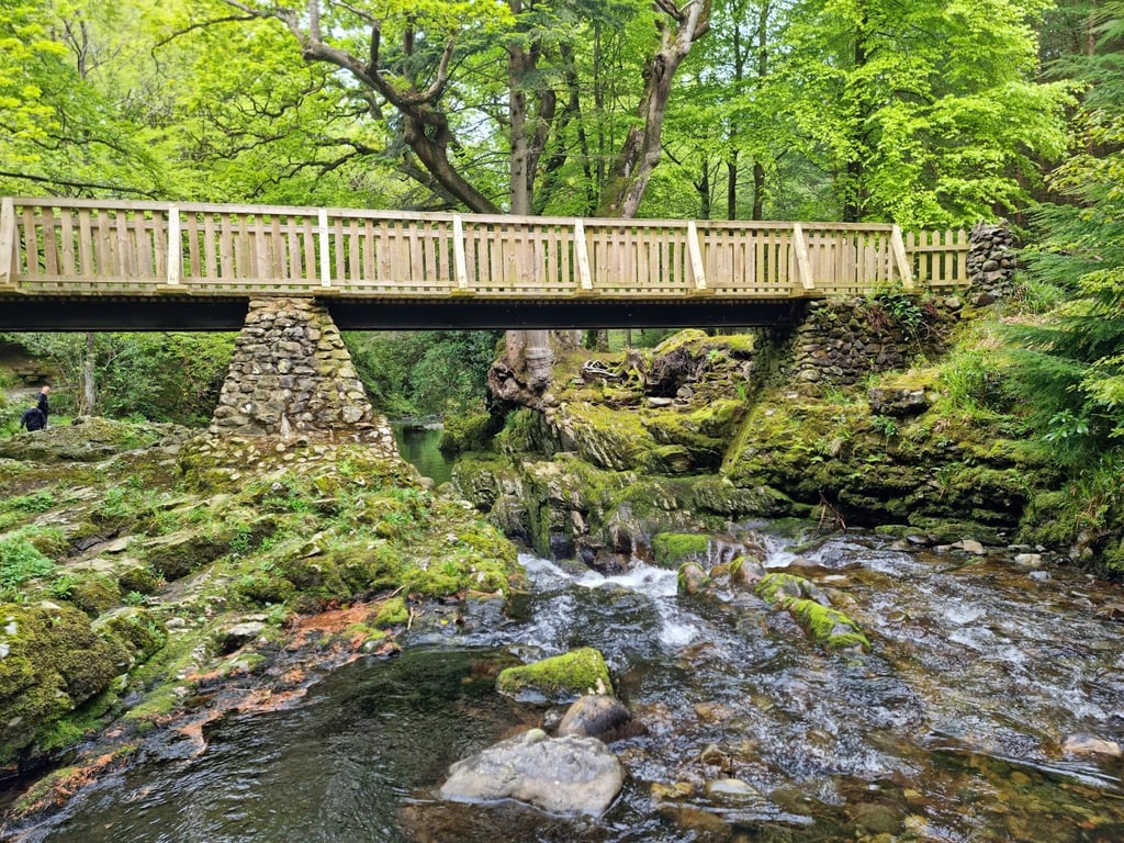 Tollymore Forest Park