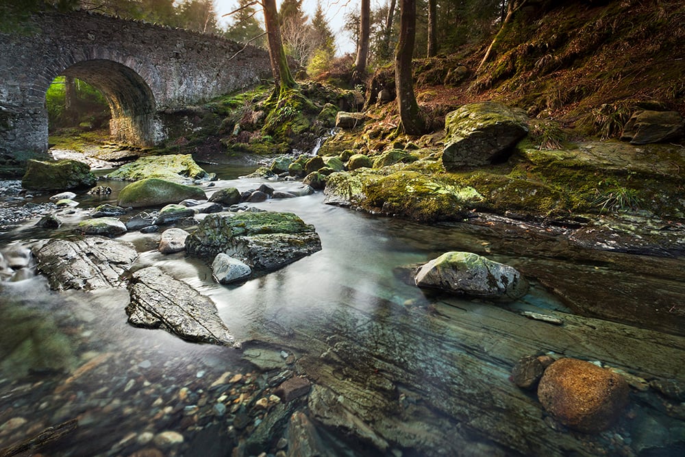 Tollymore Forest Park