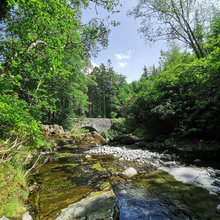 Tollymore Forest Park