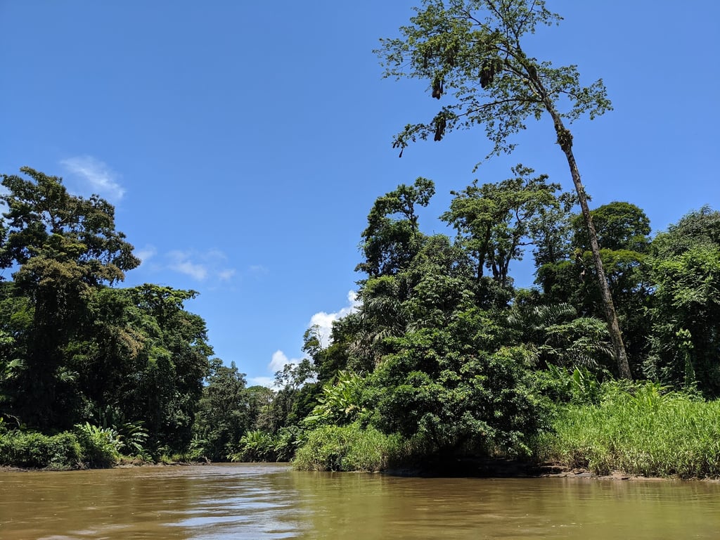 Tortuguero National Park Canals