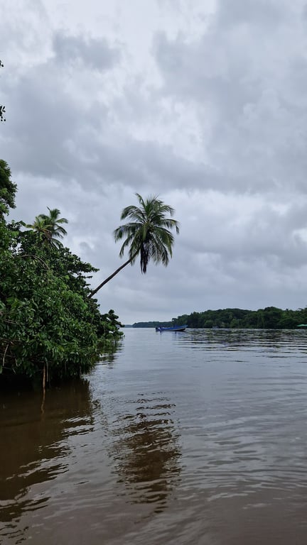 Tortuguero National Park Canals