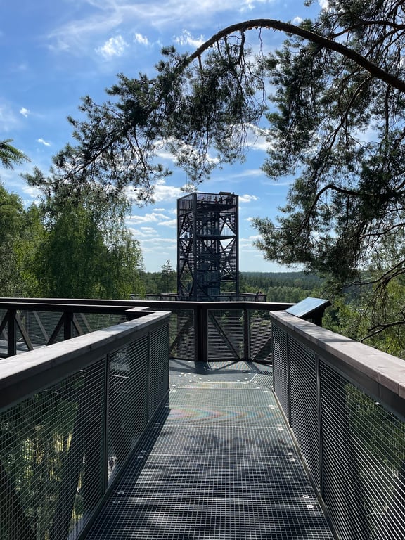 Treetop Walking Path