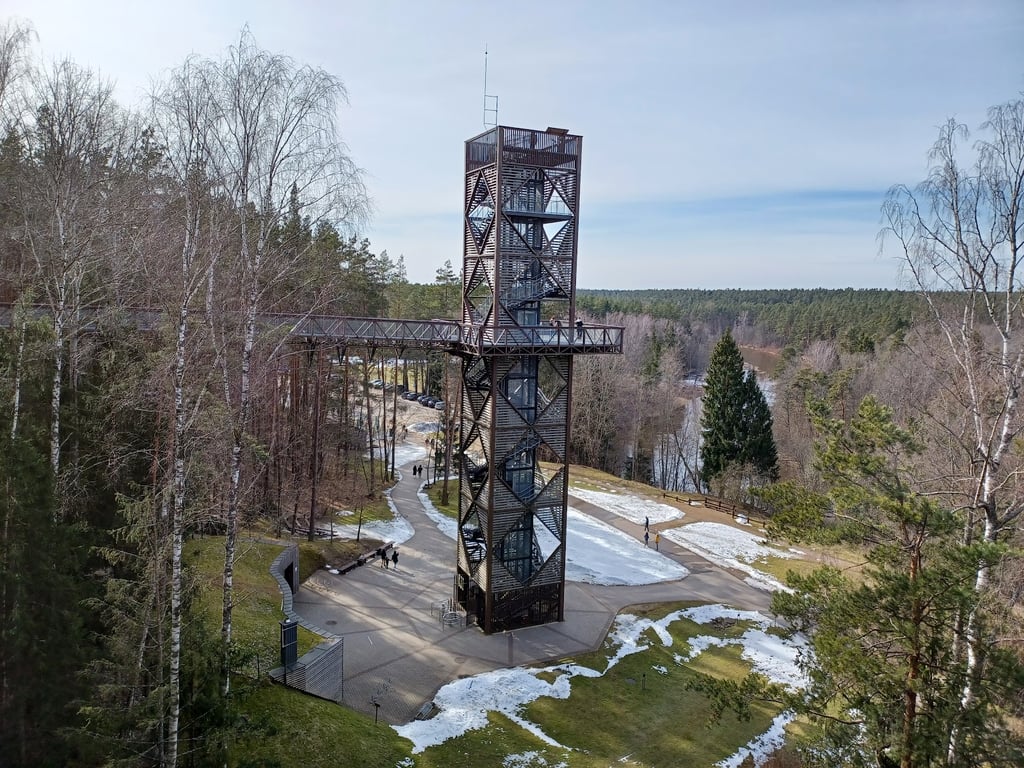Treetop Walking Path