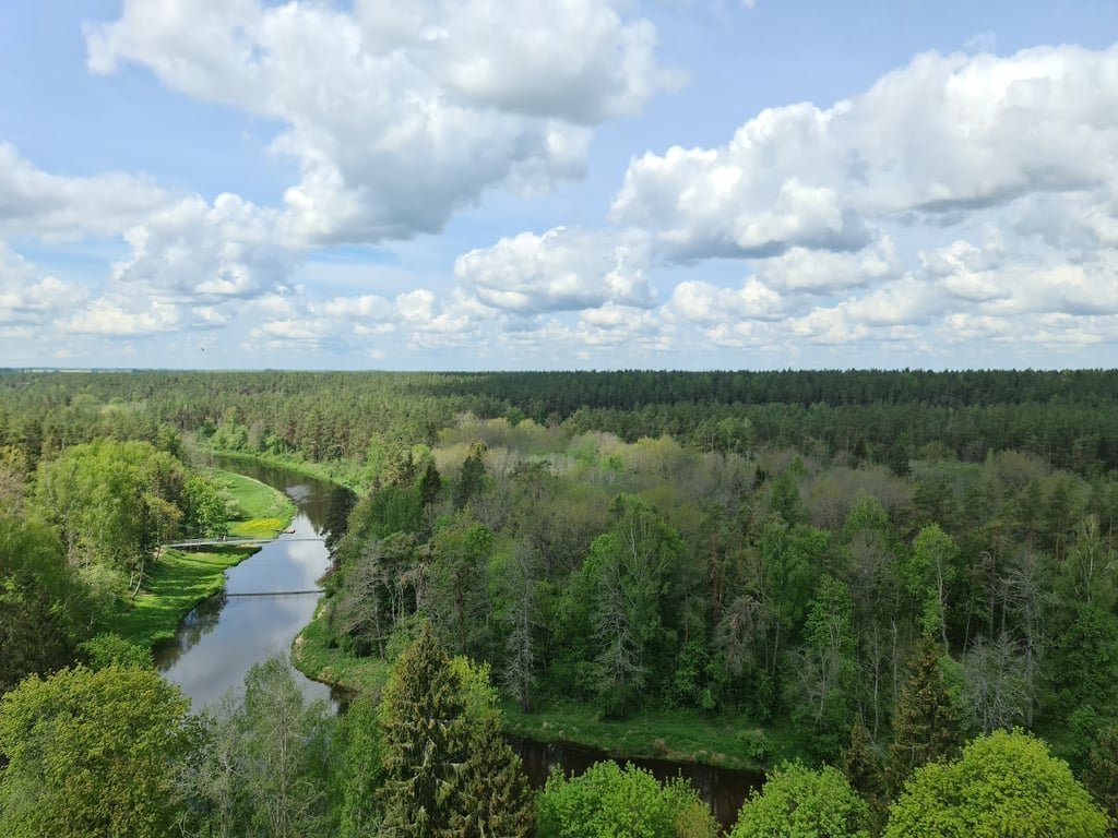 Treetop Walking Path