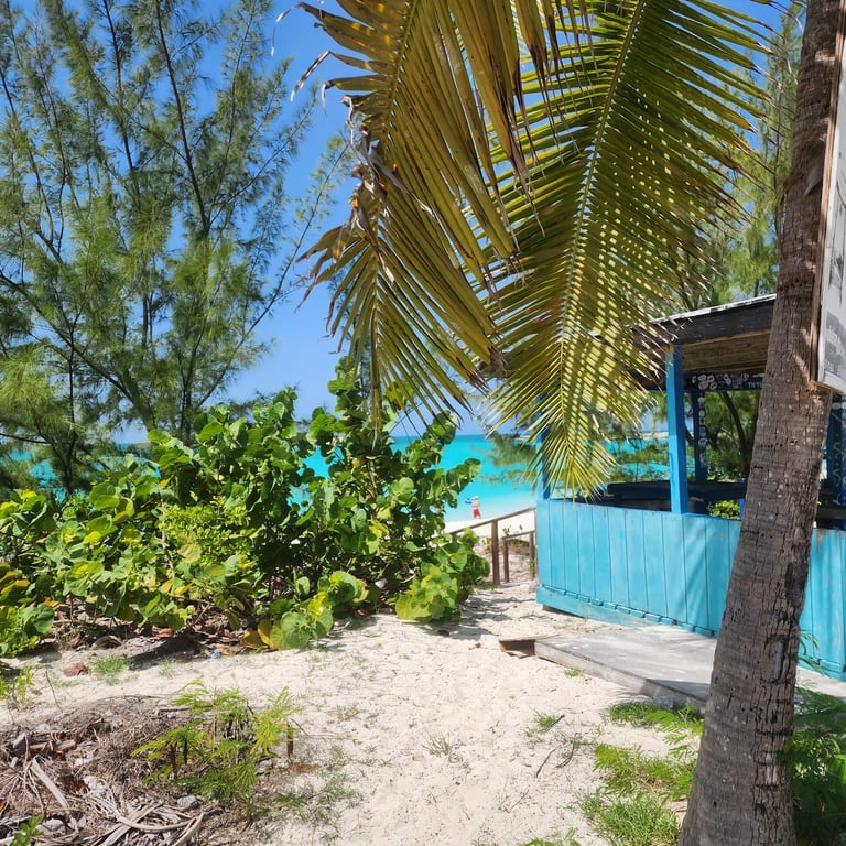Tropic of Cancer Beach