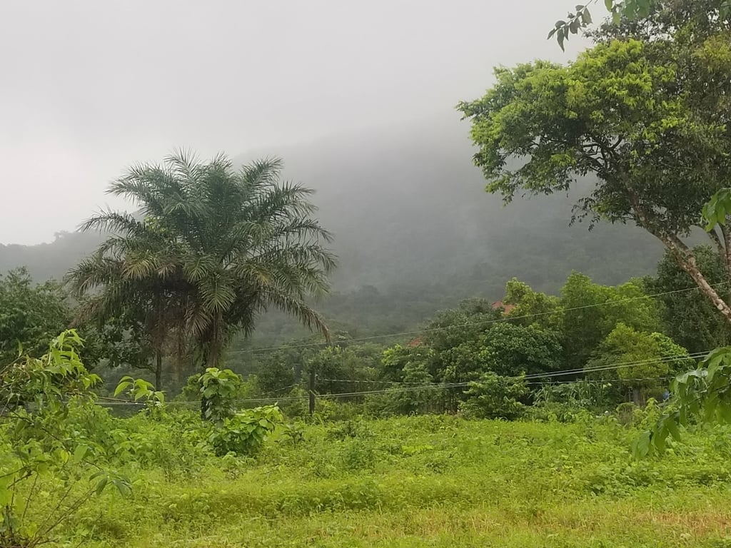Sula Basin Scenic Wetlands