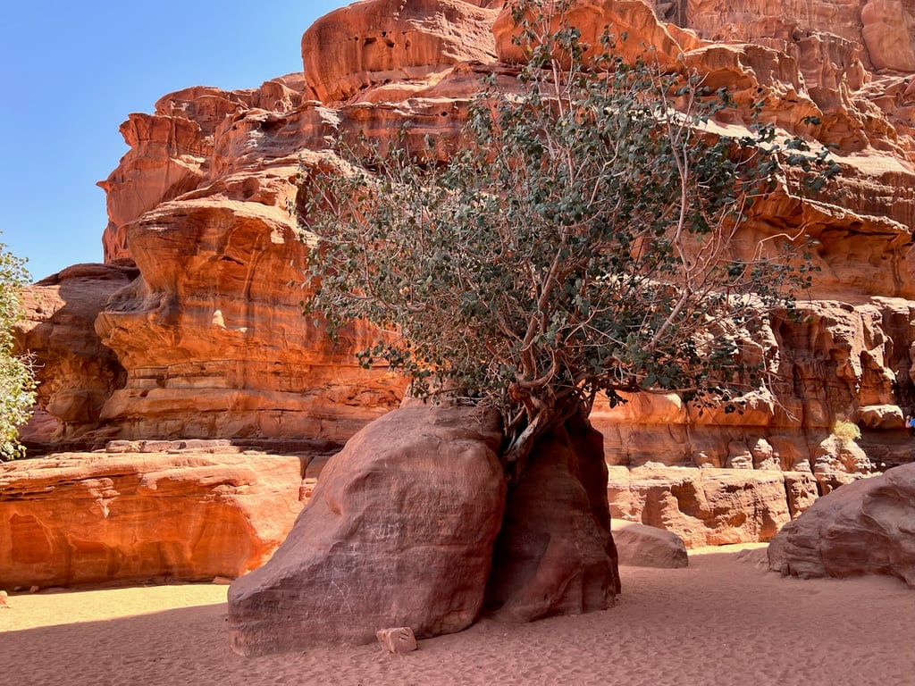 Um Fruth Rock Arch