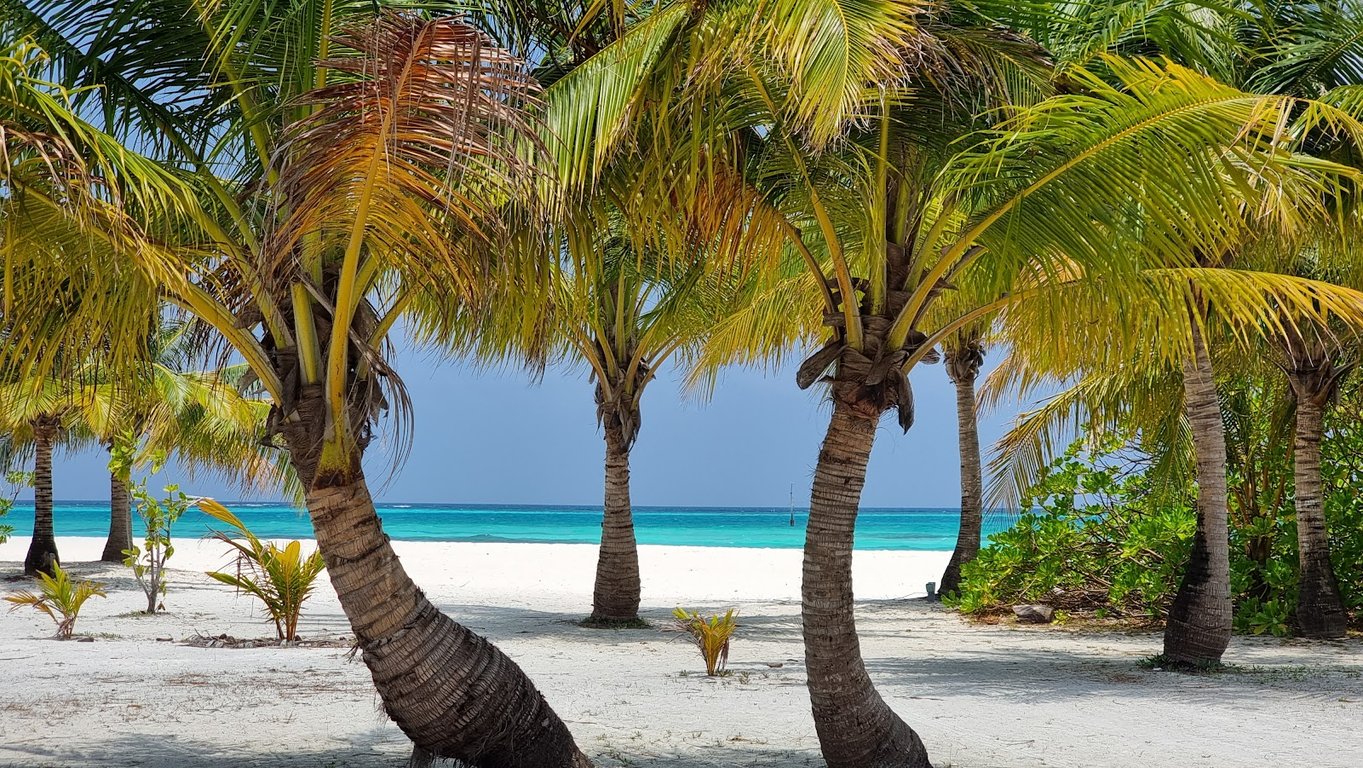 Sun Island