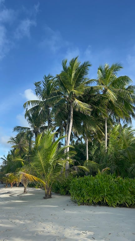 Sun Island