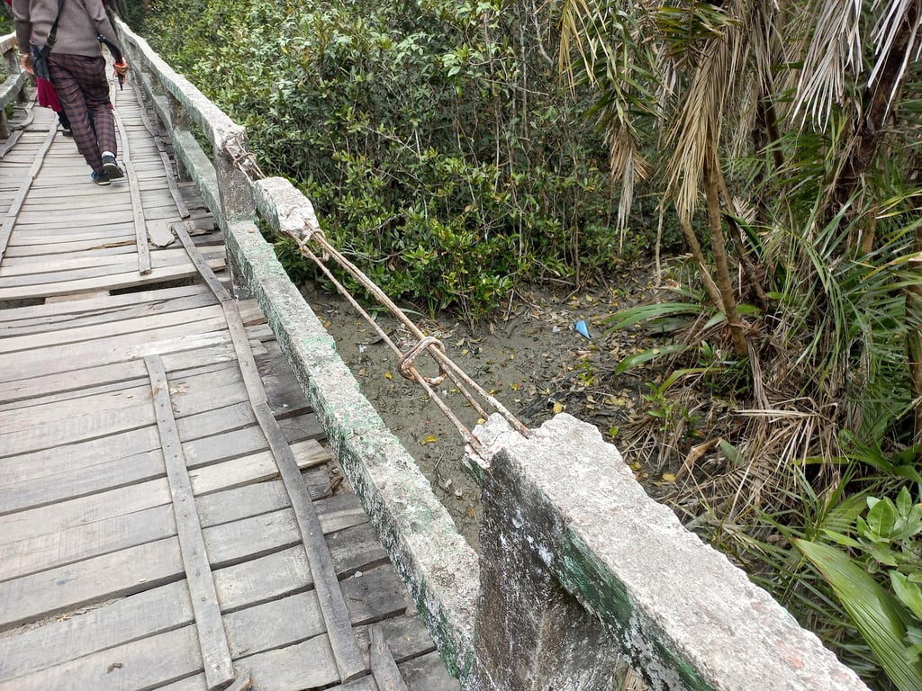 Sundarbans Mangrove Forest