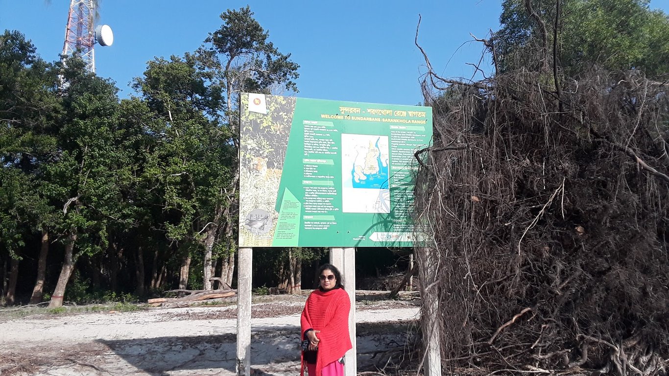 Sundarbans Mangrove Forest
