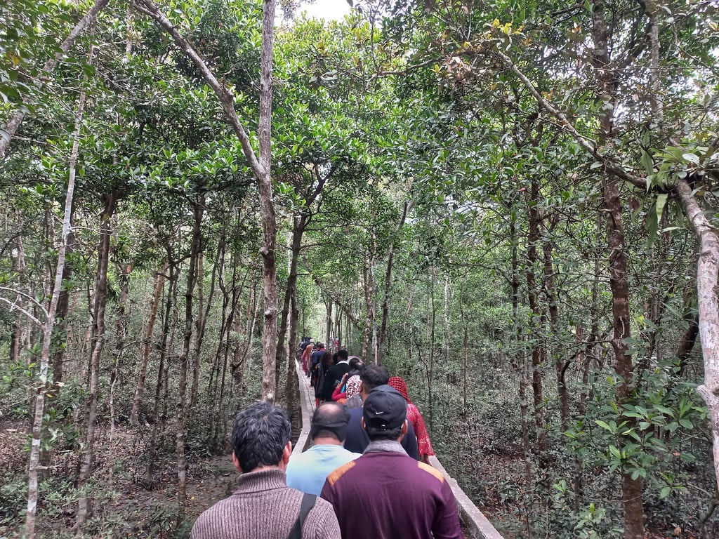 Sundarbans Mangrove Forest