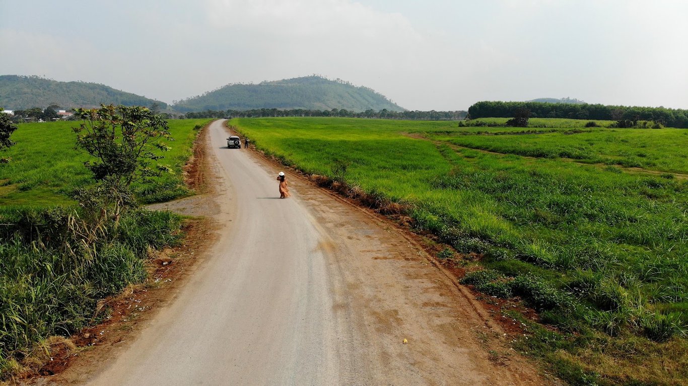 Sunflower Field Nghia Dan