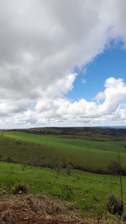 Upemba National Park