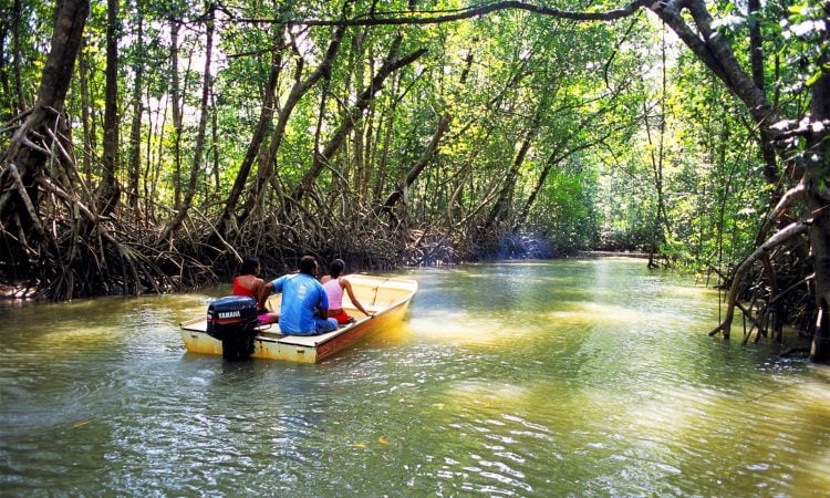 Upemba National Park