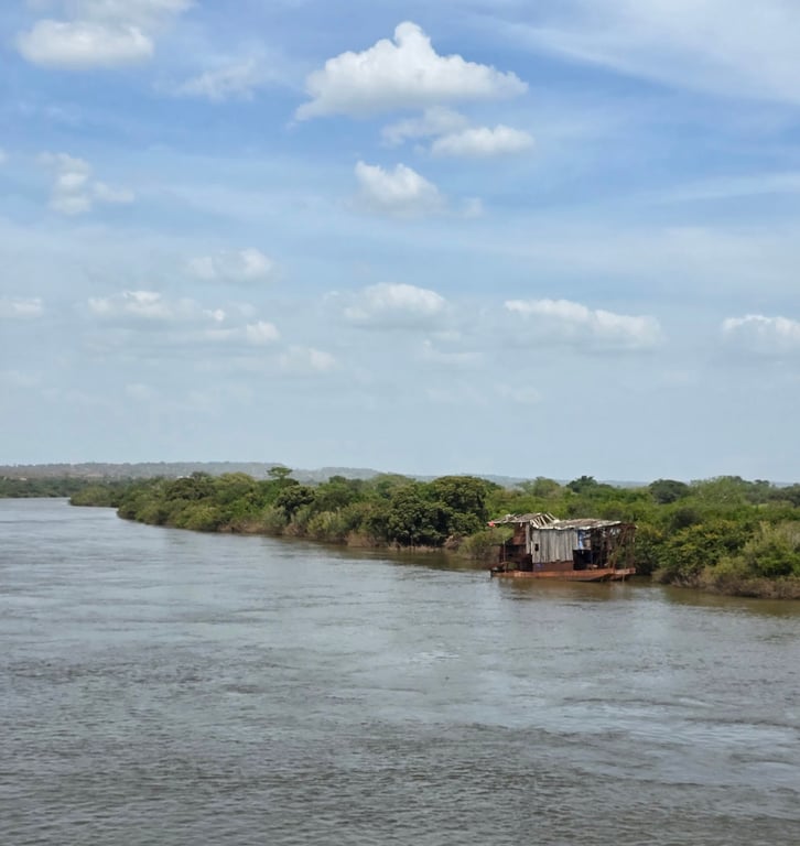 Upper Niger National Park