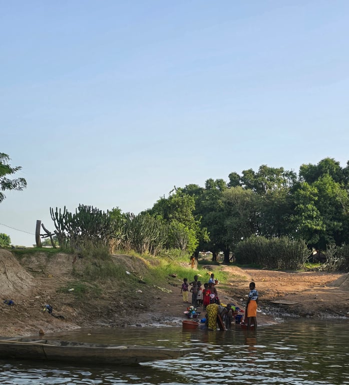 Upper Niger National Park