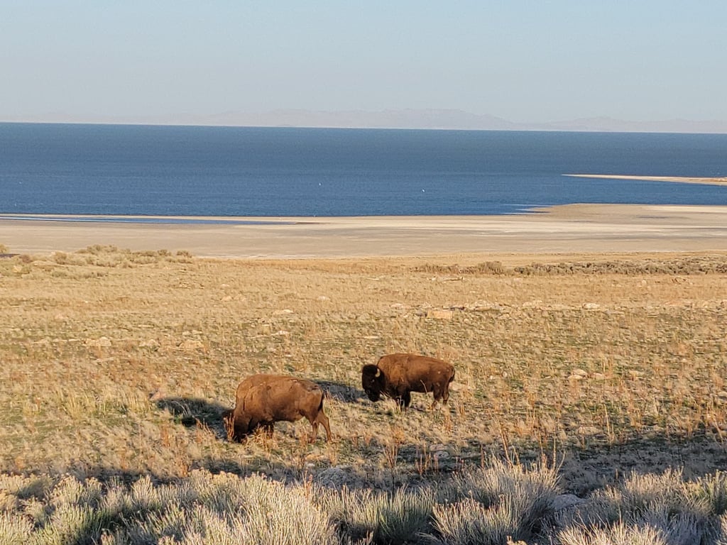 Antelope Island State Park