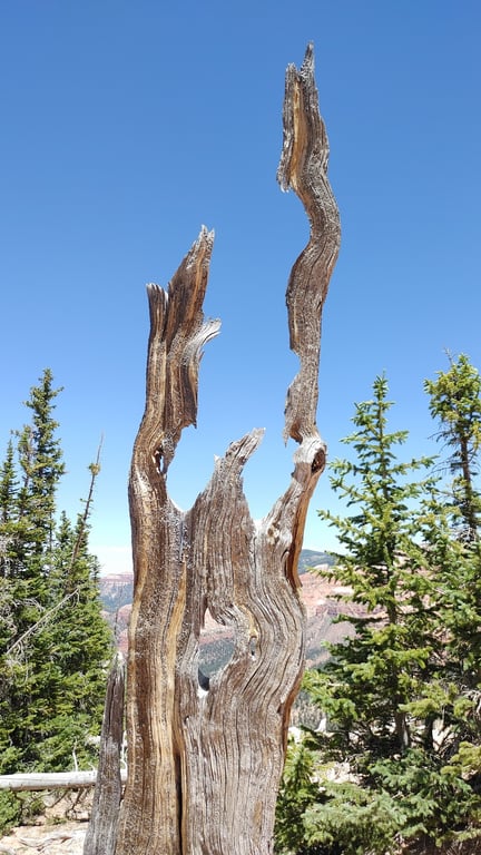 Cedar Breaks National Monument