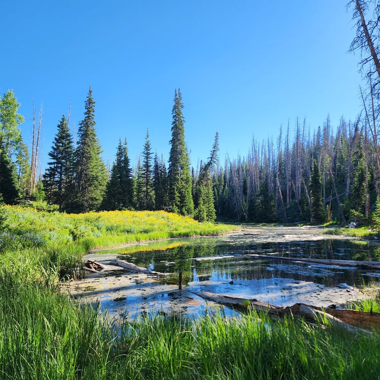 Cedar Breaks National Monument