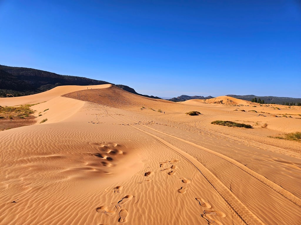 Coral Pink Sand Dunes State Park