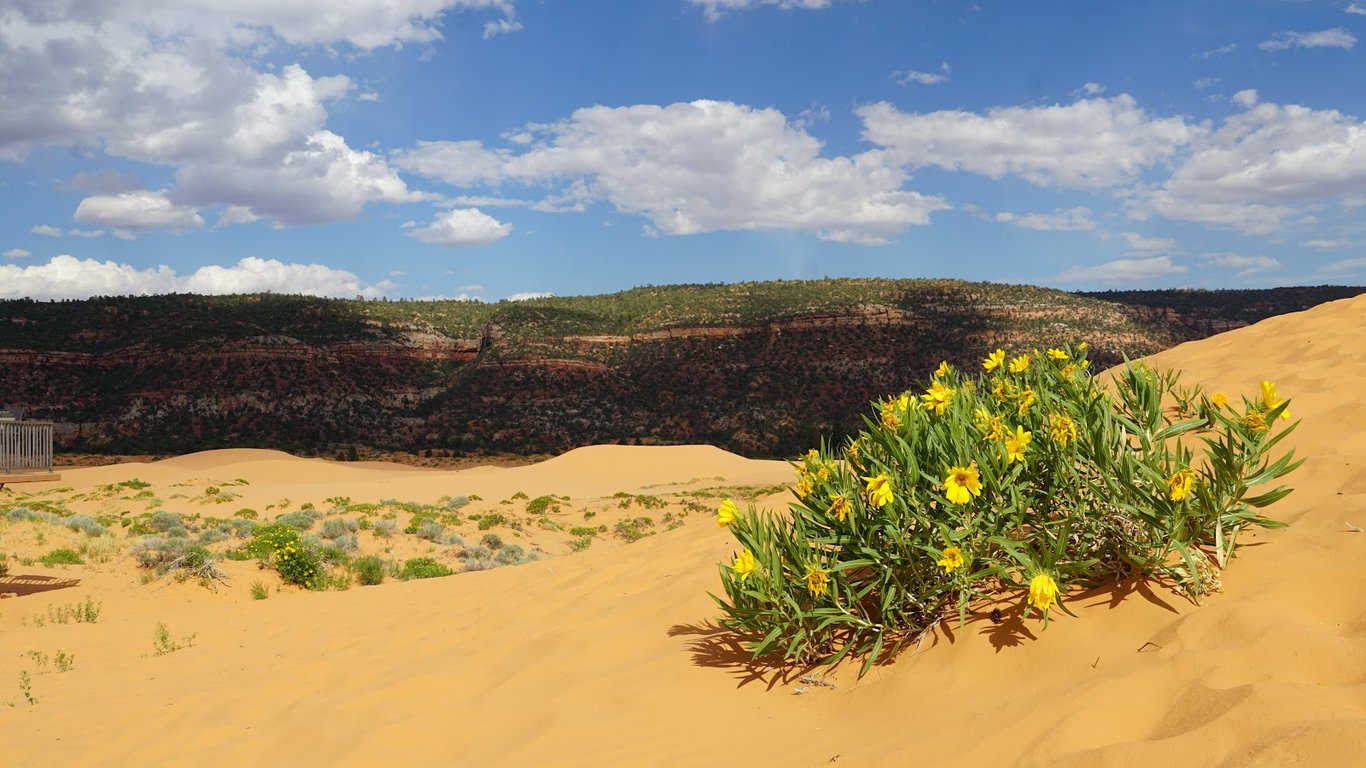 Coral Pink Sand Dunes State Park