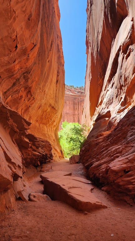 Grand Staircase-Escalante National Monument