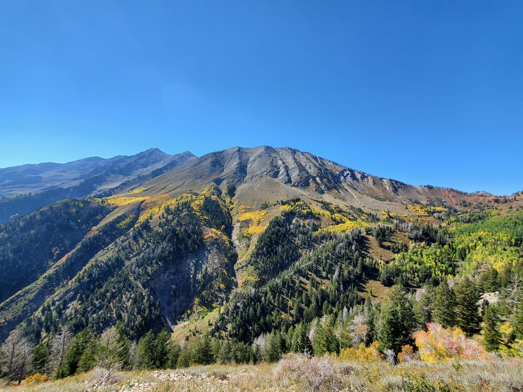 Nebo Loop Scenic Byway