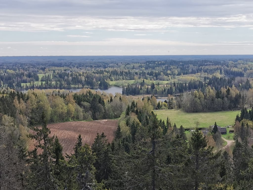 Suur Munamägi
