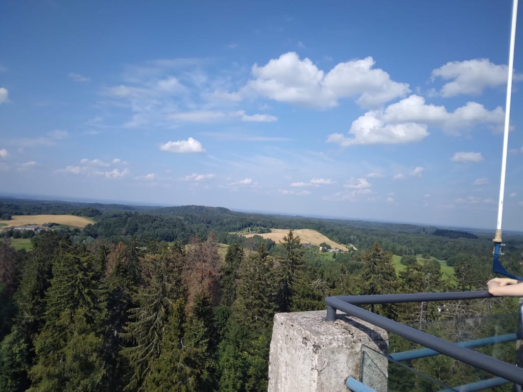 Suur Munamägi