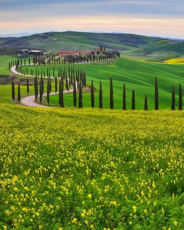 Val d’Orcia Hills