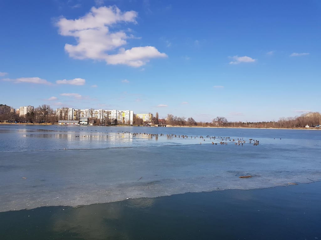 Valea Morilor Lake & Park