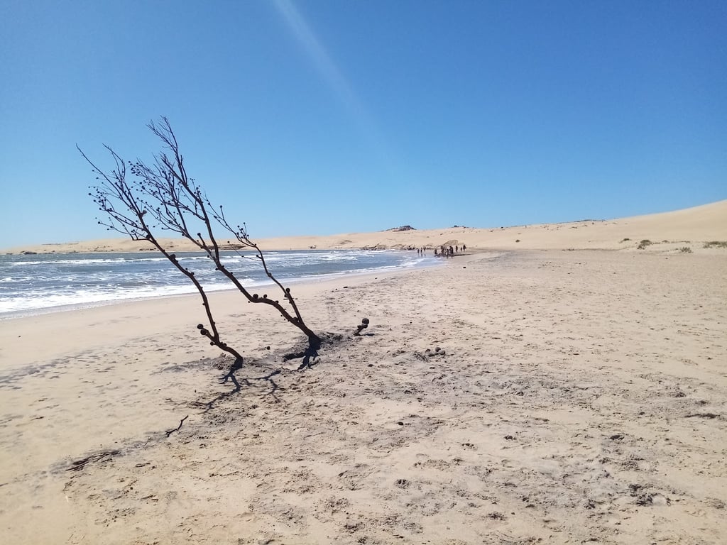 Valizas Sand Dunes
