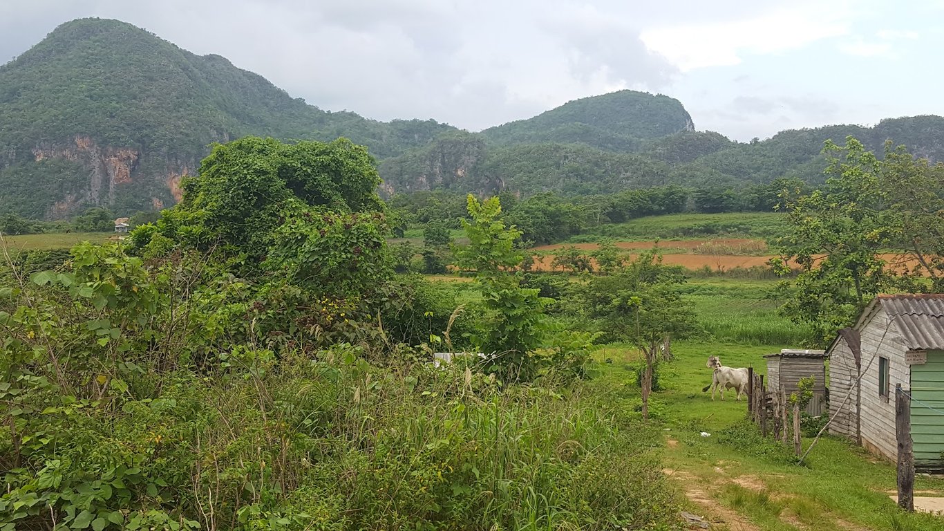 Valle de Viñales